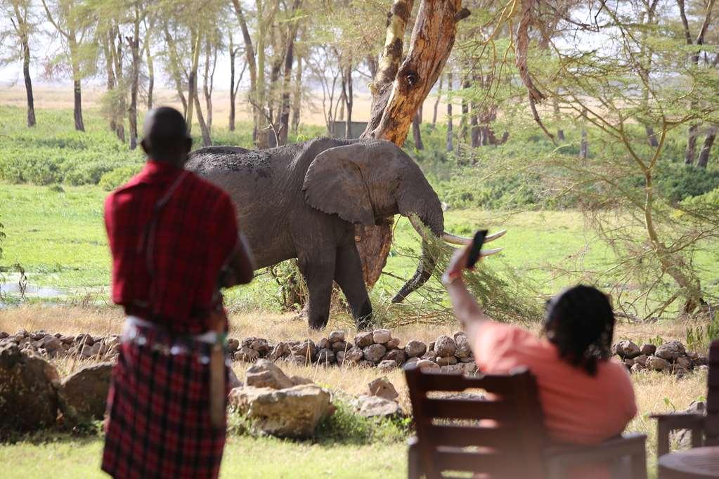 Amboseli Serena Safari Lodge Kemudahan gambar