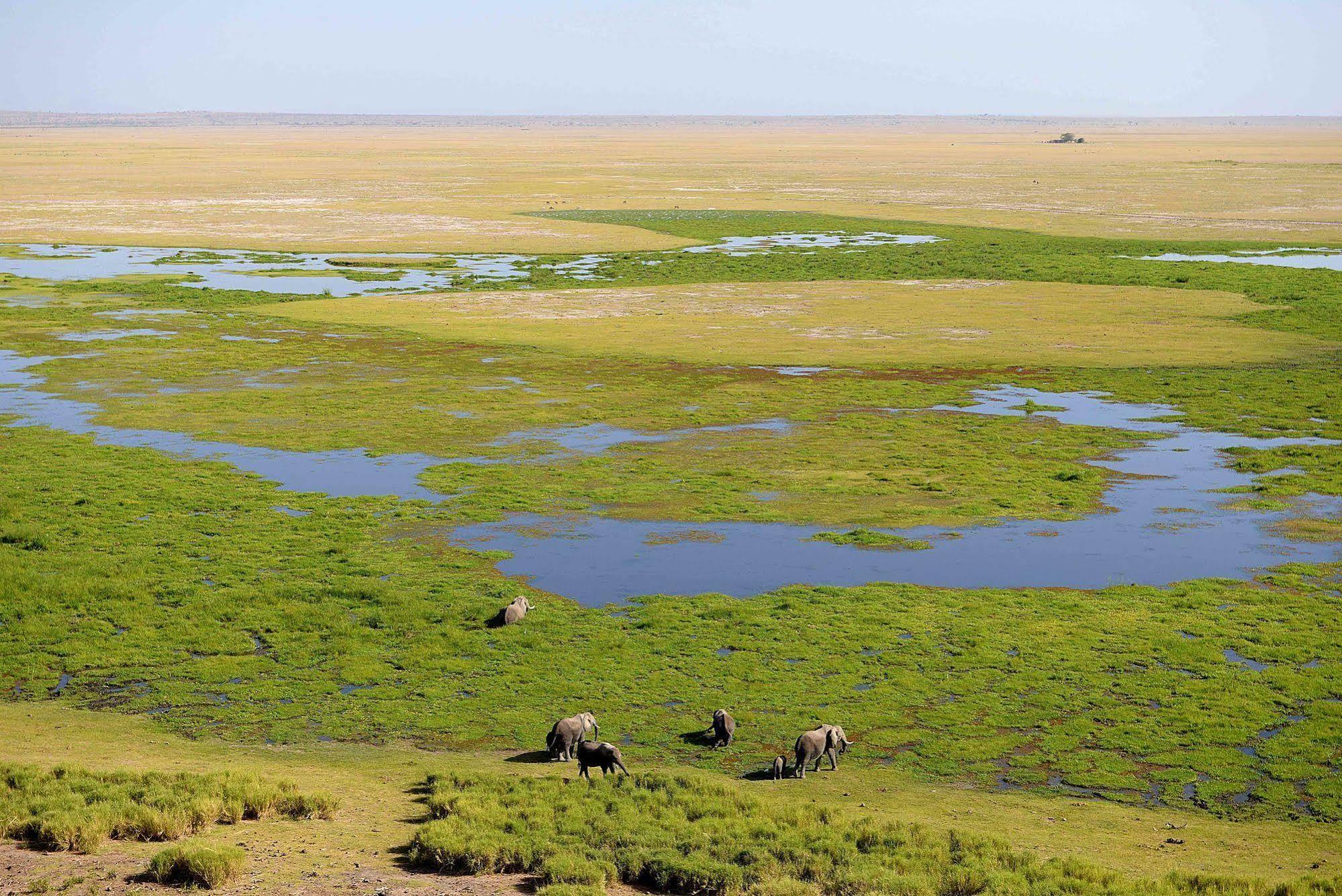 Amboseli Serena Safari Lodge Luaran gambar